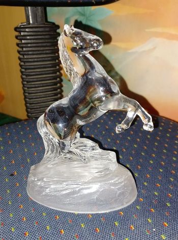 cheval en verre