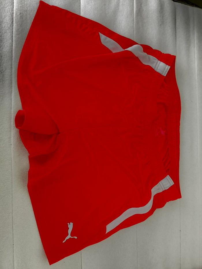 Short puma