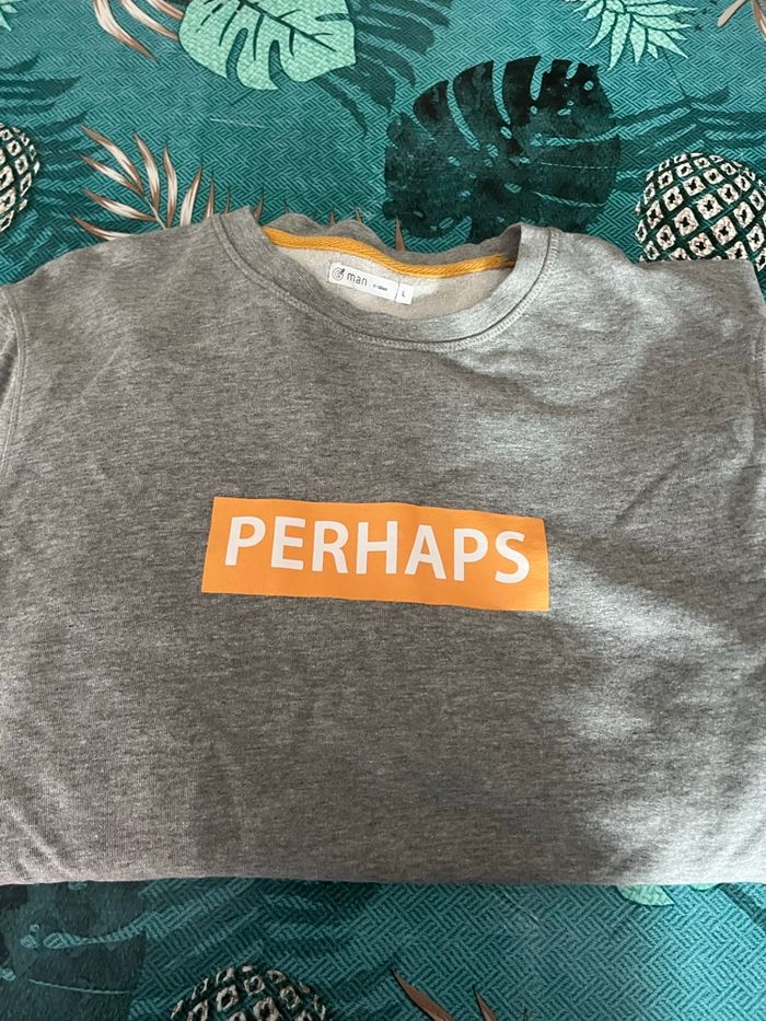 Sweat homme - photo numéro 2