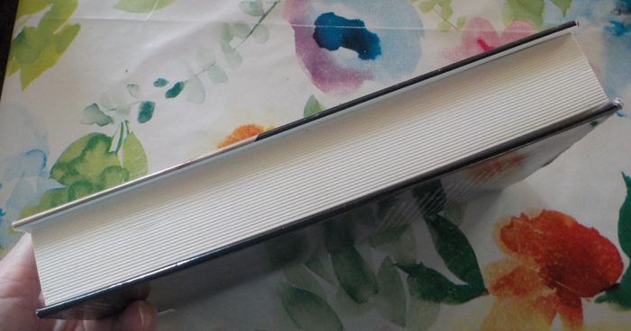 Mon Seigneur & Maître par Tehmina Durrani Ed. France Loisirs - photo numéro 5