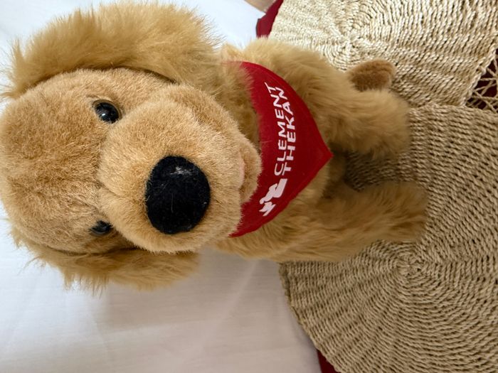 klement tekan golden retriever - chien en peluche - photo numéro 8