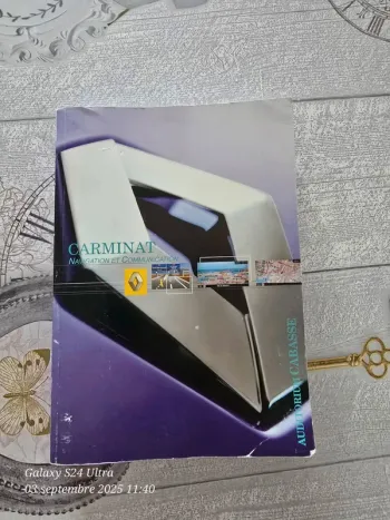 Manuel Carminat Renault Lagune 2