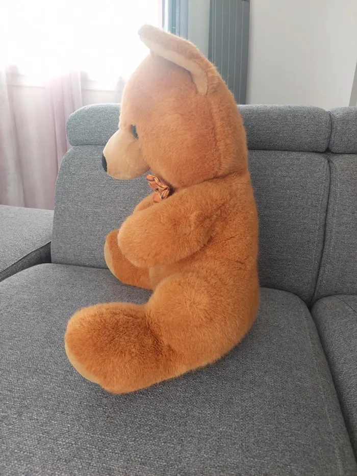 Ours en peluche - photo numéro 3