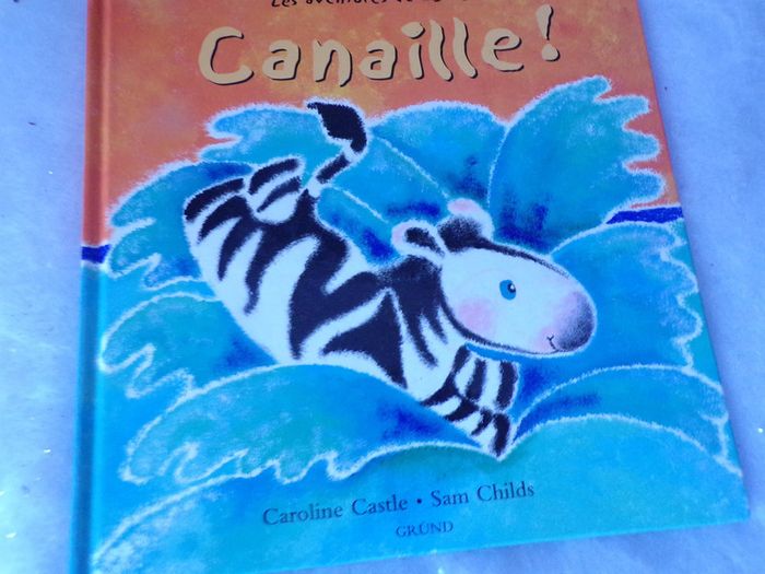 Livre Les aventures de zigzag Canaille !