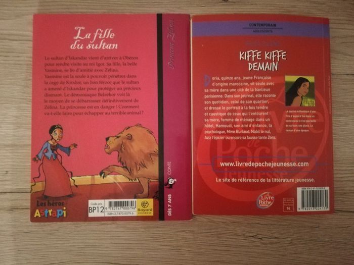 Lot 2 livres - photo numéro 2