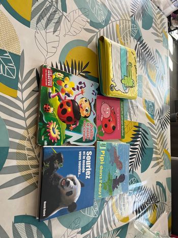 Petits livres