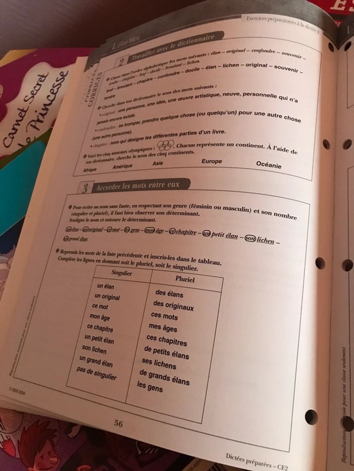 Dictées préparées CE2 MDI - photo numéro 7