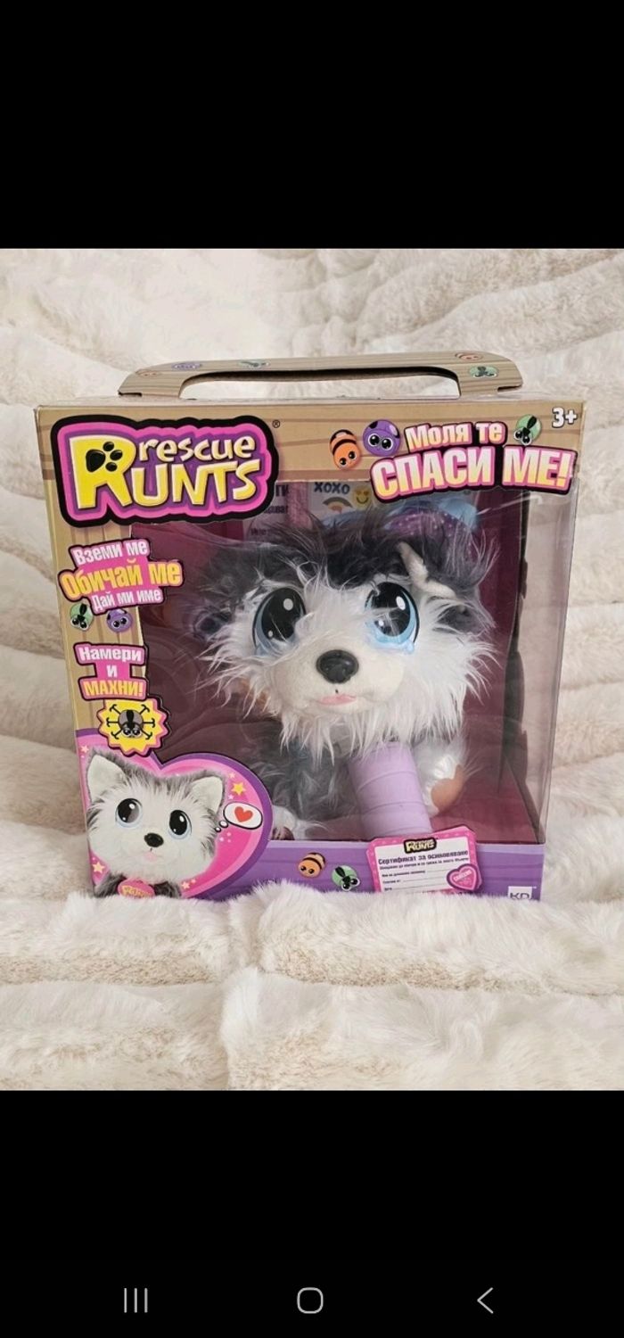 Soigne le petit chien 🐕 Runts avec tous ses accessoires Neuf