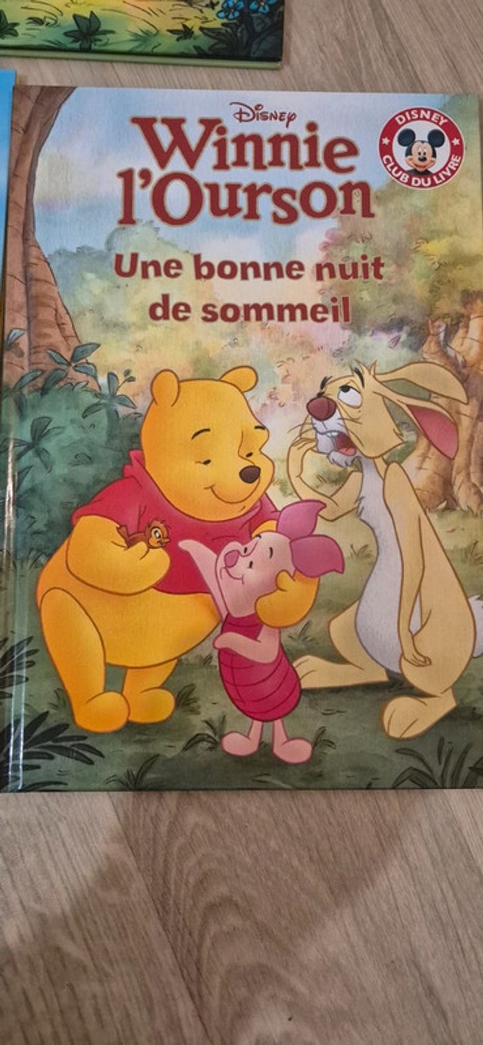 Lot de 3 livres - Winnie l'ourson - photo numéro 3