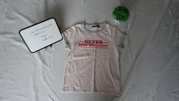 Tee shirt rose pale / gris