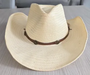 Chapeau cow-boy star & stripes