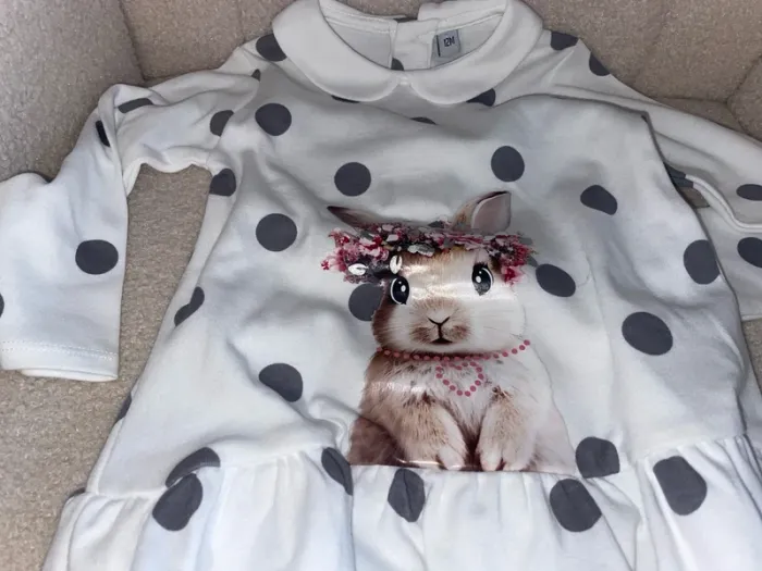 Tenue lapin - photo numéro 2