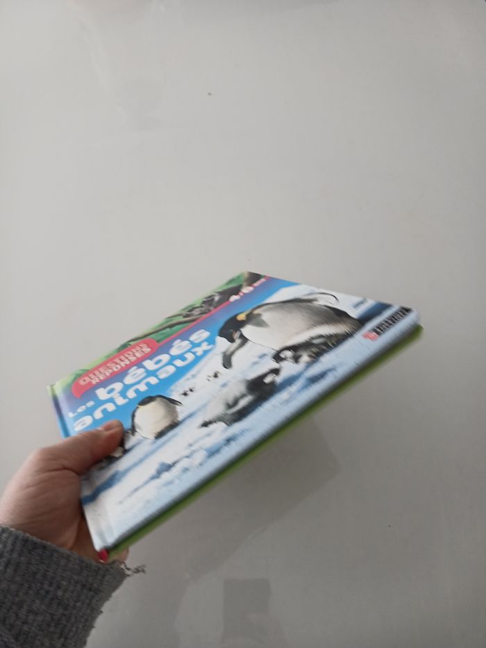 Livre Nathan - Questions/Réponses : Les bébés animaux - photo numéro 5