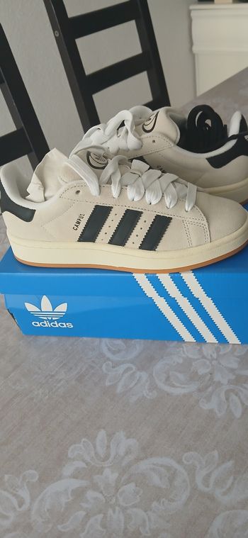 Baskets campus Adidas