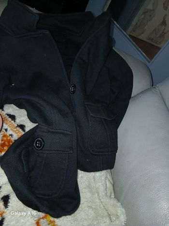 Veste