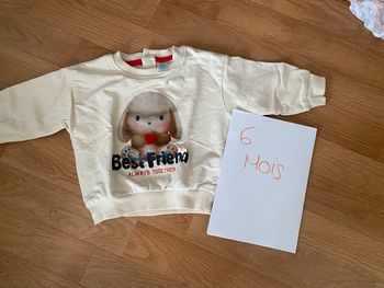 Pull 6 mois
