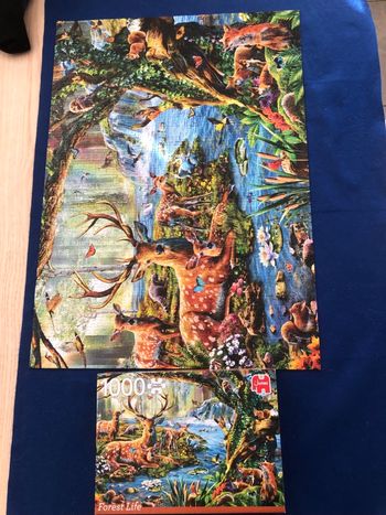 Puzzle 1000 pièces