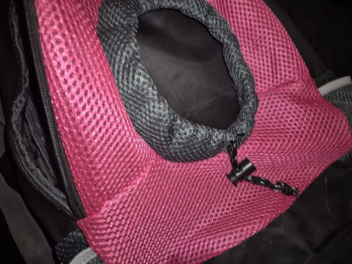 Sac à dos chat - photo numéro 2