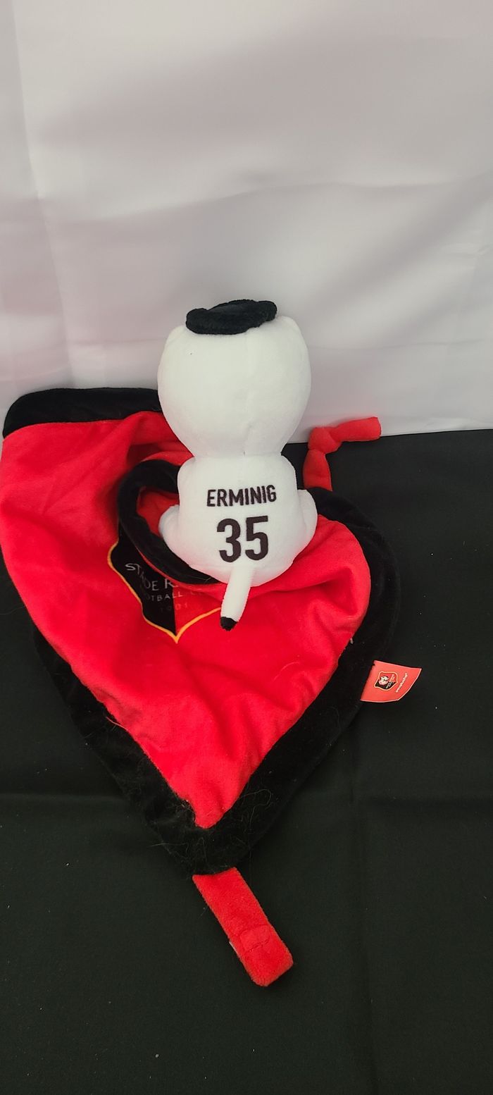 DOUDOU ERMINIG - photo numéro 3