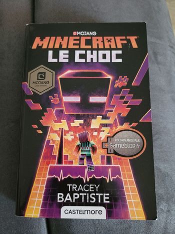 roman minecraft le choc (6e)