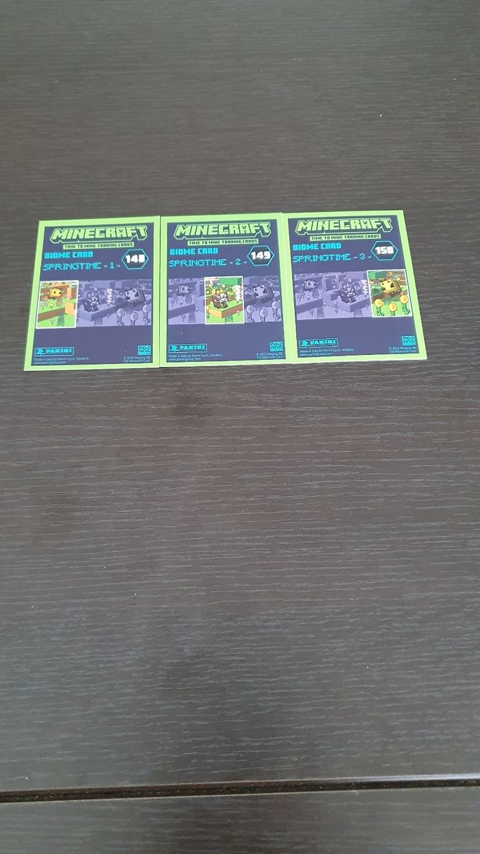Cartes Minecraft Springtime complet - photo numéro 2
