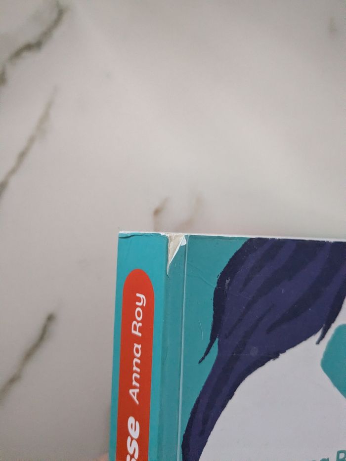 Livre grossesse/post partum - c'est ma grossesse d'Anna Roy. - photo numéro 5