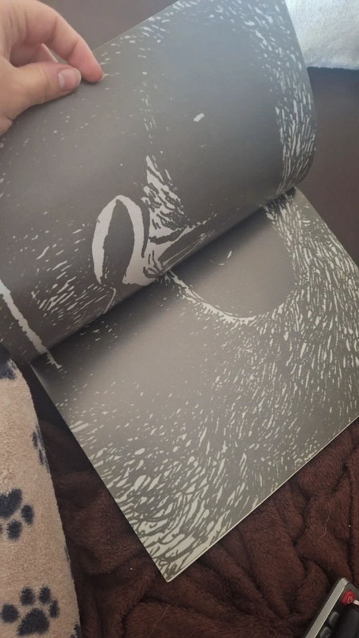 Livre patience du grand singe bd pl - photo numéro 5