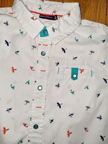 Lot grain de ble 3 6 mois