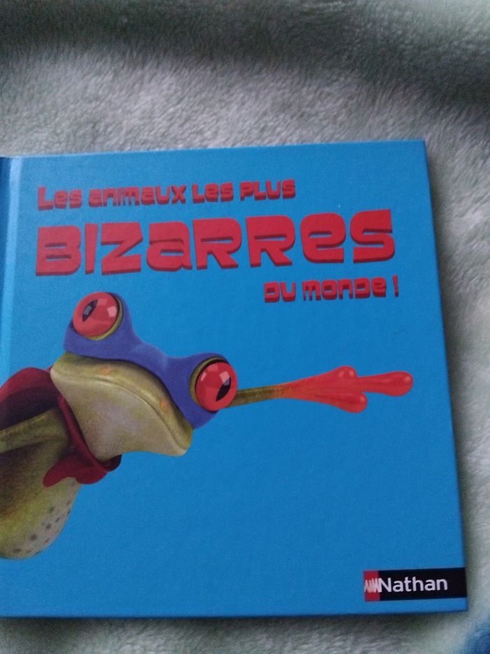 2 livres 1 euro - photo numéro 3