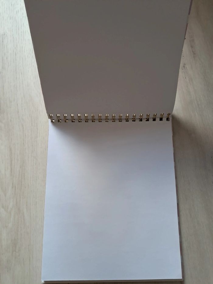 Cahier - photo numéro 3