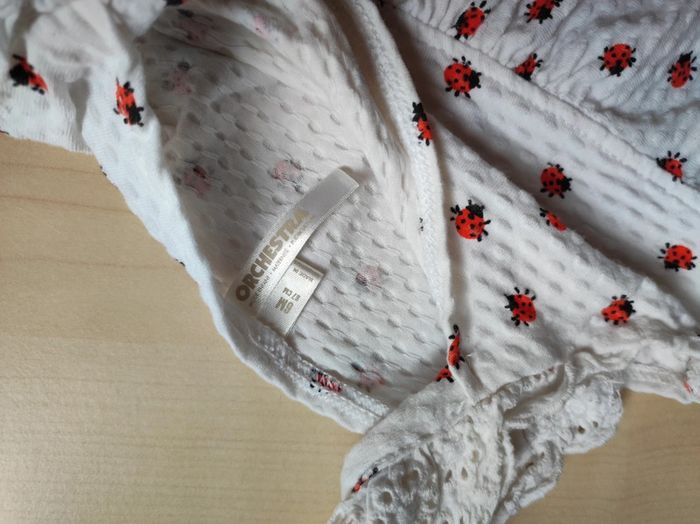 Belle robe orchestra - photo numéro 4