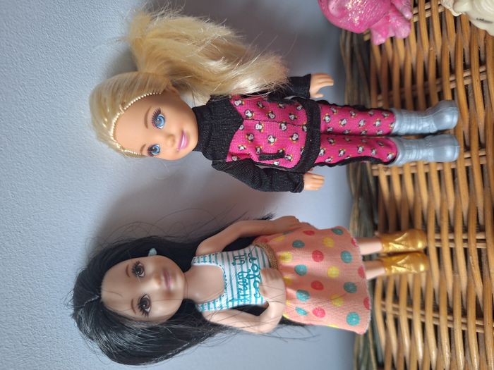 Lot de 2 poupées shelly neuves (1 blonde et 1 brune) et un lot d'animaux (chiens - chat) - photo numéro 2