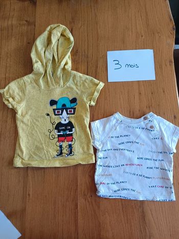 Tee shirt manches courtes