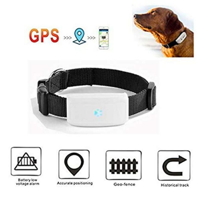 Collier Traceur Gps pour animaux de compagnie - photo numéro 2