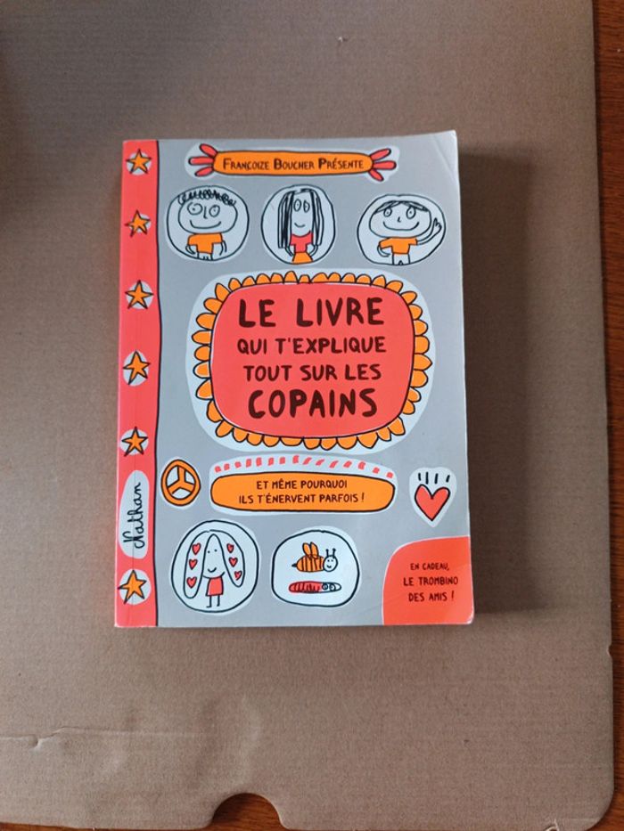 Le livre qui t'explique tout sur les copains