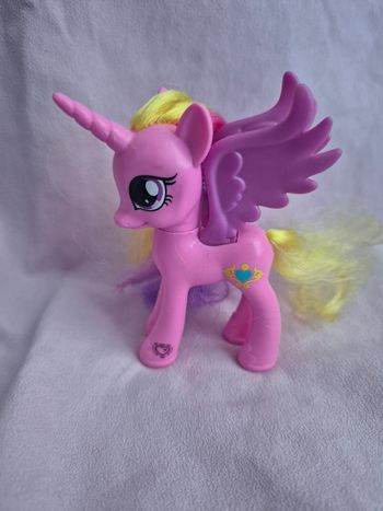 Petit poney