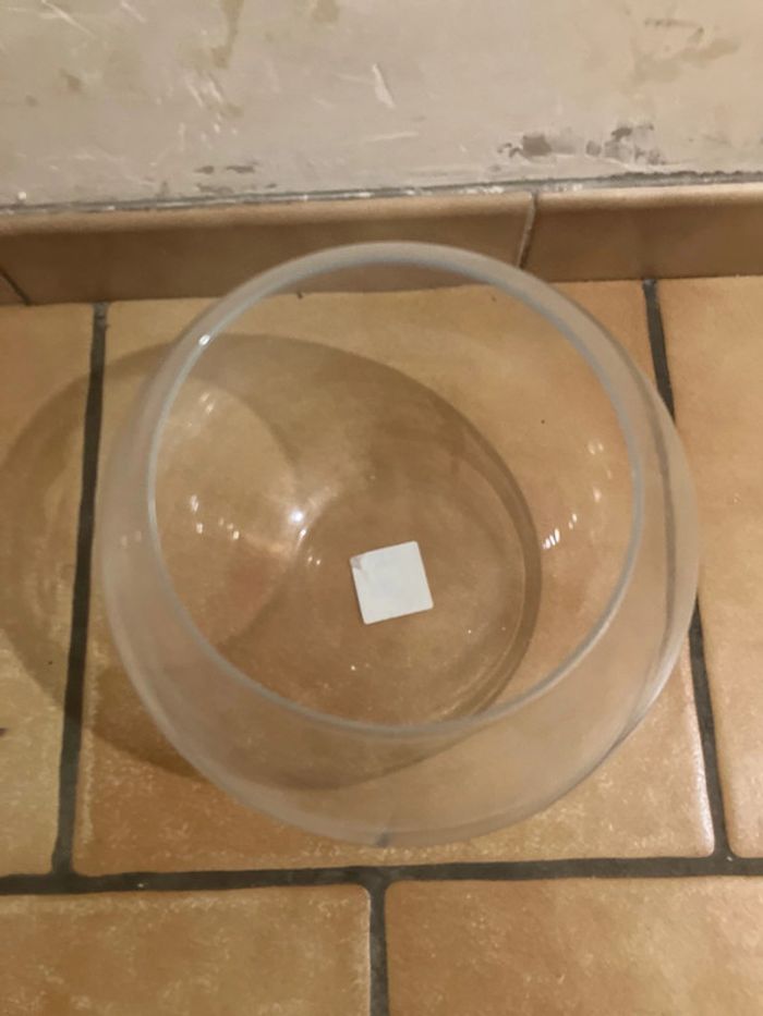 Grand Bocal - photo numéro 2