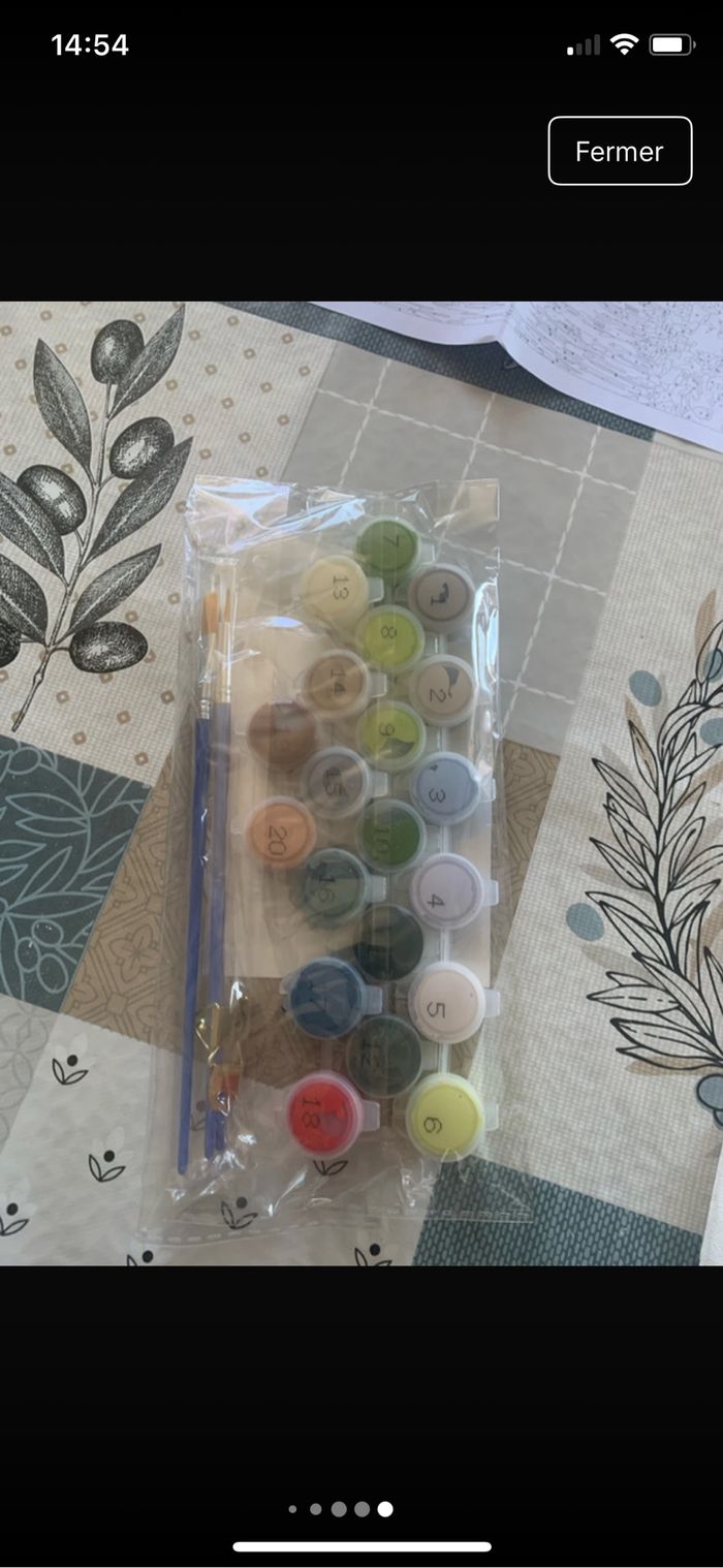 Kit complet de peinture par numéro - Neuf - photo numéro 5