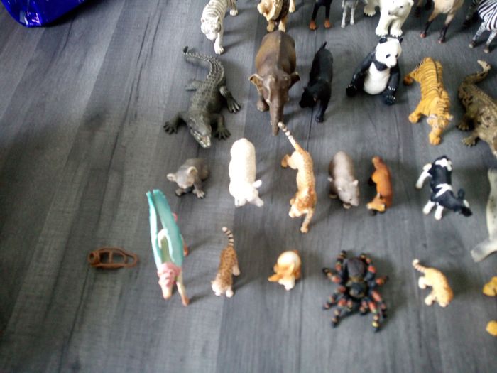 Lot animaux - photo numéro 2