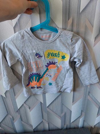 tee shirt dinausaure