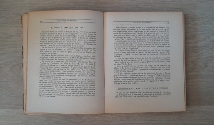 Savoie tourisme art histoire - photo numéro 5