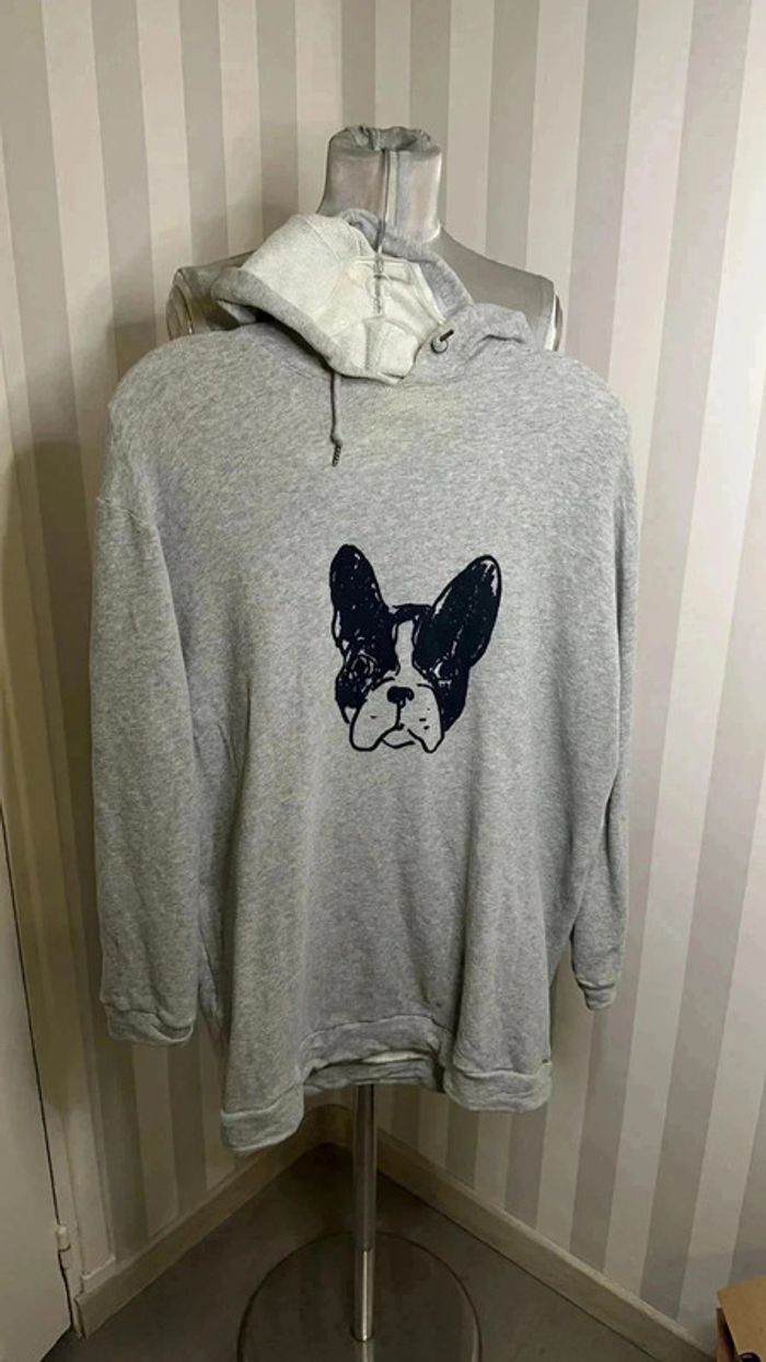 Sweat capuche Comptoir des cotonniers T:M Leon