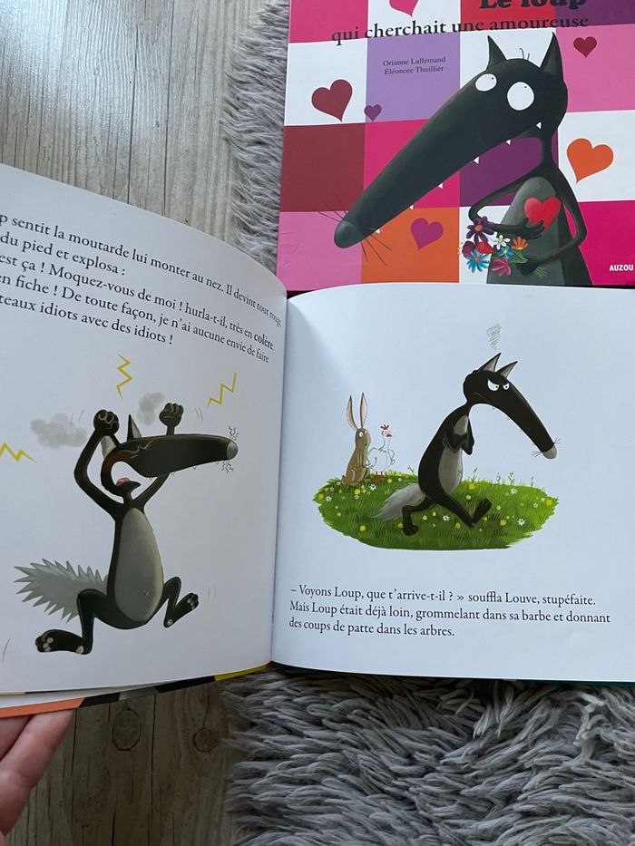 Lot de 4 livres Le loup - Auzou - photo numéro 5