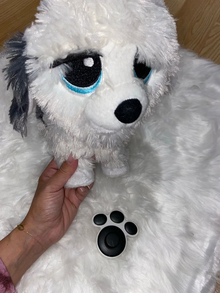 Chien interactif