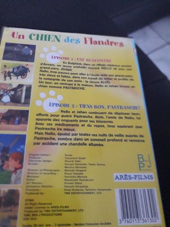 Un chien des Flandres