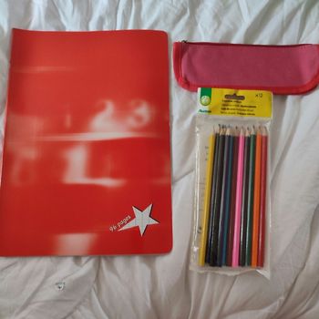 Lot scolaire cahier seyes