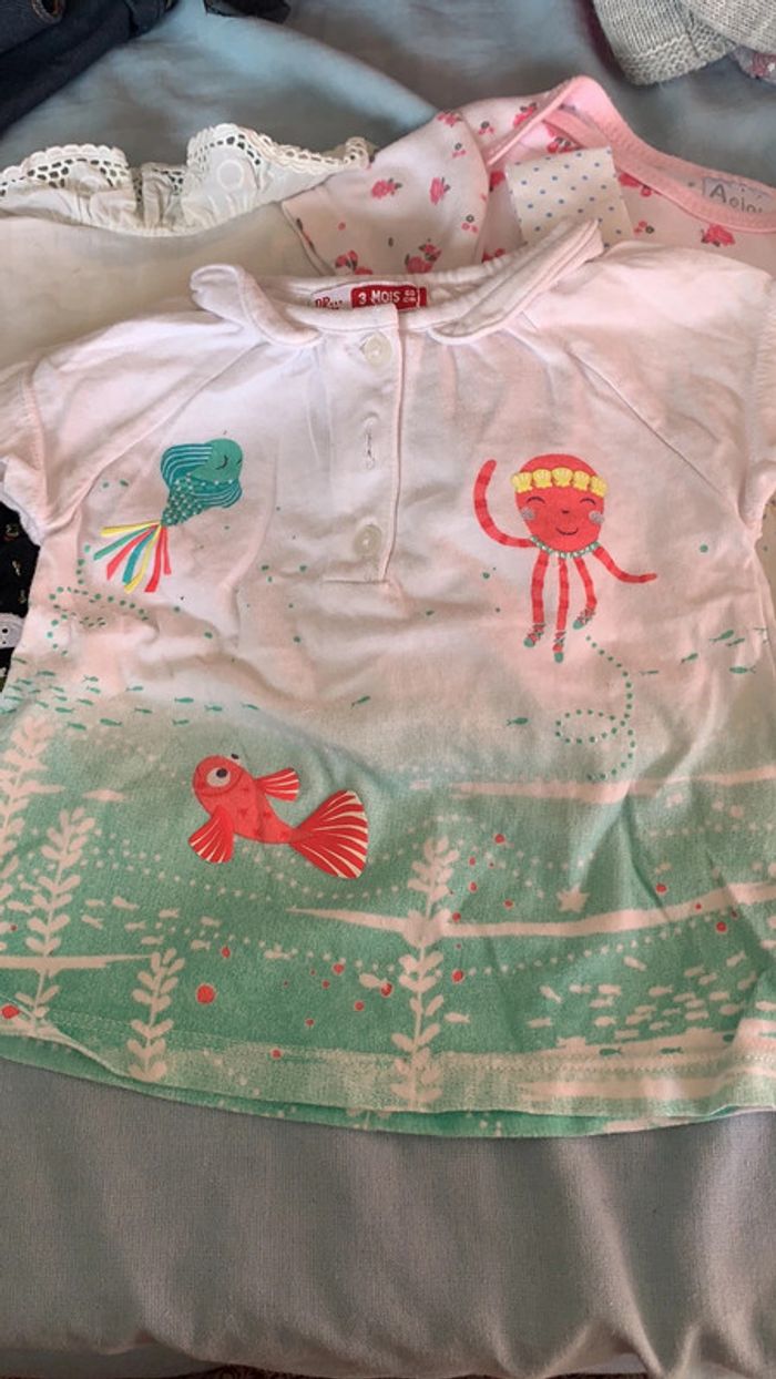 Lot 6 hauts manches courtes - photo numéro 3