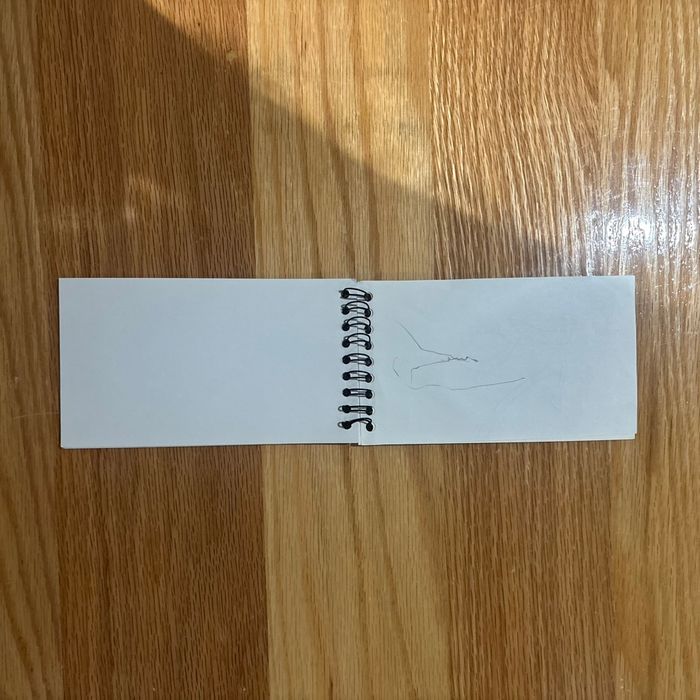 Carnet marsupilami - photo numéro 3