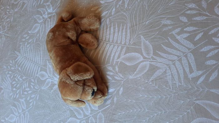 peluche bébé chien
