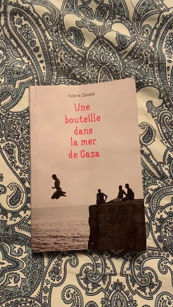 Livre Une Bouteille dans la Mer de Gaza
